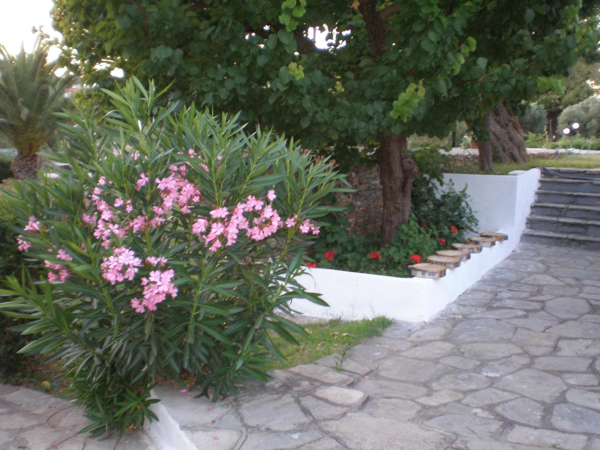 Hotel Porto Matina Metamorfosi  Exteriér fotografie